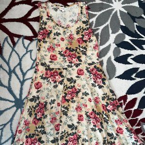 LuLaRoe Nicki Tank Dress